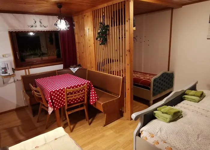 Apartment Zalokar